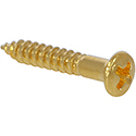 Toronzo Screw TZ-WD5-Gold